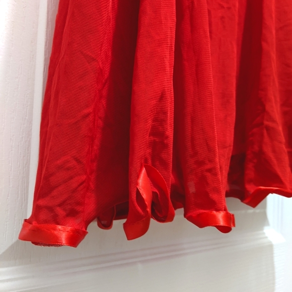 2/$45 Lingerie Lace and Netting Slip Dress - Picture 6 of 8